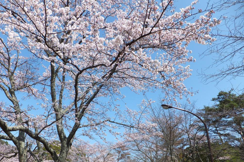 Hotel Maple Inagawa Kawabe  Zewnętrze zdjęcie